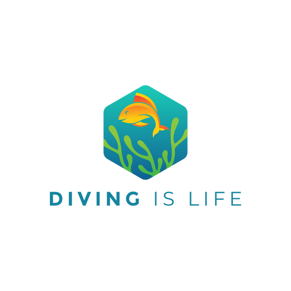 Diving Is Life